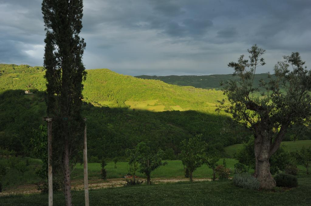 Agriturismo Paradiso 44 Asís Exterior foto