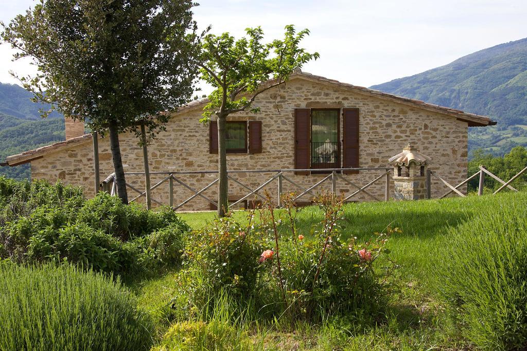 Agriturismo Paradiso 44 Asís Exterior foto